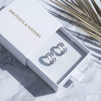 Thumbnail for Stainless steel earrings — in the gift box, silver | SKU: 22023999-rhodium